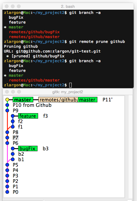 git_remote_prune_github.png