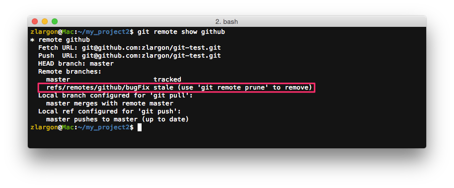 git_remote_show_github.png