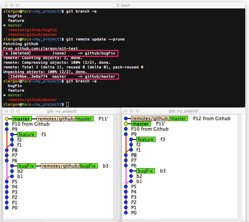 git_remote_update_prune.png