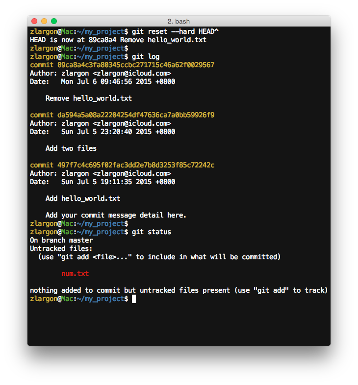 Reset Patch · Git