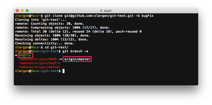 git_clone_branch_bugFix.png