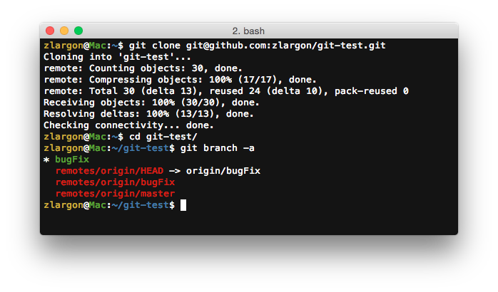 git_clone_default_bugFix.png