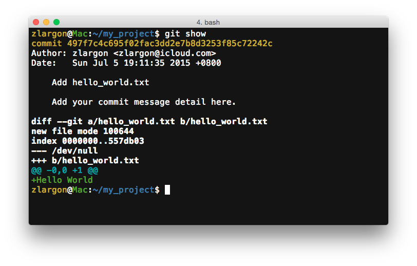 git show terminal